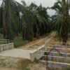 Telok Panglima Garang